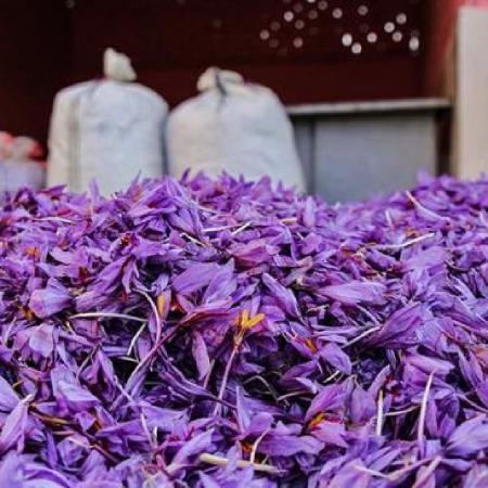 مراکز فروش گل زعفران عمده در مشهد