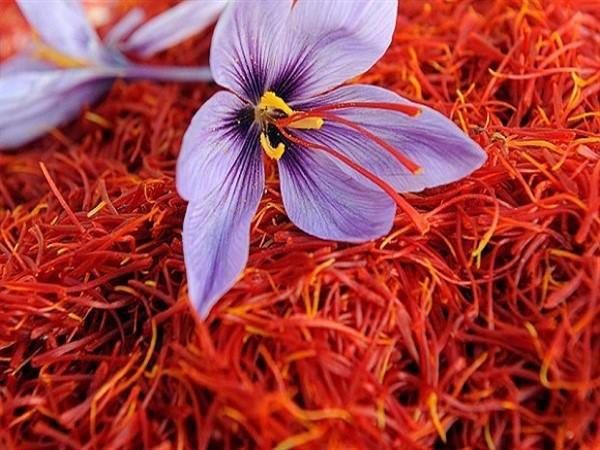 قیمت روز انواع زعفران ایرانی در کشور های وارد کننده